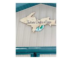 U.P.Jackie’s Chicks and Eggs Farm Munising, Mi - 3