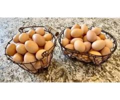 Honey & eggs - 2