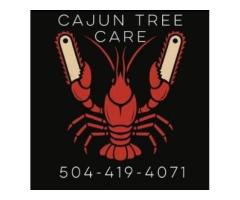Cajun Tree Care